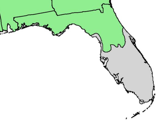 Loblolly pine natural range in Florida. Data source: USGS