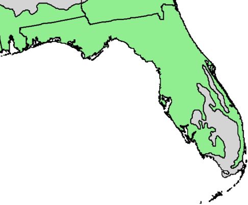 Slash pine natural range in Florida (both varieties). Data source: USGS
