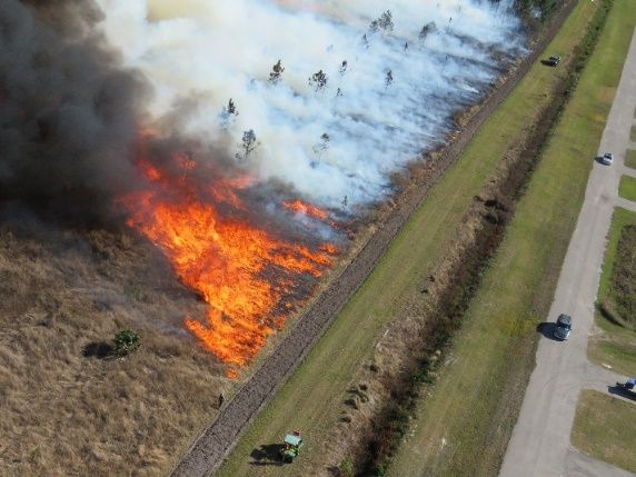 Aerial view of a person igniting a prescribed fire along a fire line in a non-native grass-dominated system in Florida.