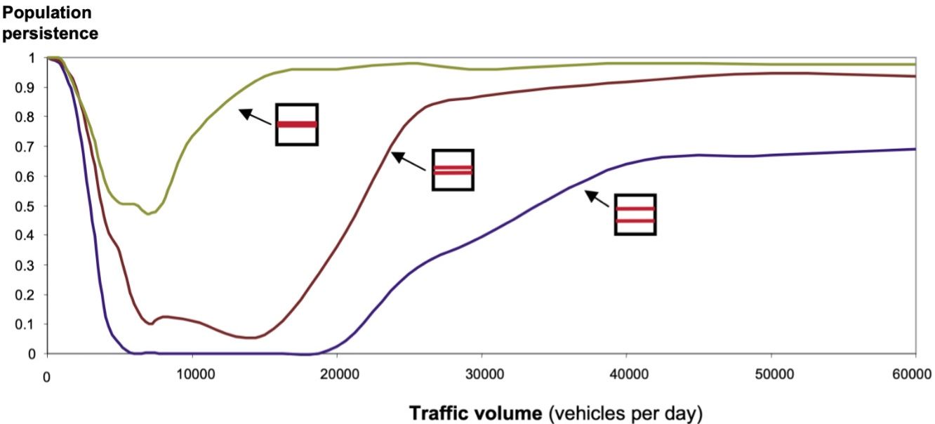 Population persistence under three road and traffic scenarios based on a simulation: all traffic was put on one large road (left), traffic was divided onto two smaller roads bundled close together (center), or traffic was divided onto two smaller roads distributed evenly across the landscape (right). 