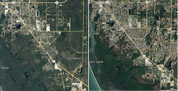 Urban development from 1984 (left) to 2020 (right) in south Florida has been focused between and around roads, depicting their role in further habitat loss. 
