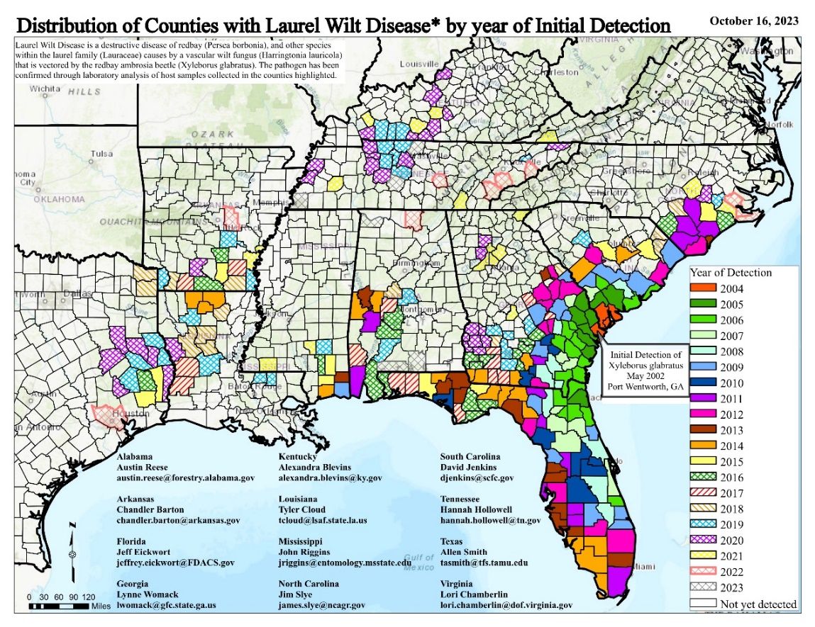 Distribution of 290 counties with laurel wilt disease in the United States; map accessed on November 2, 2023. 