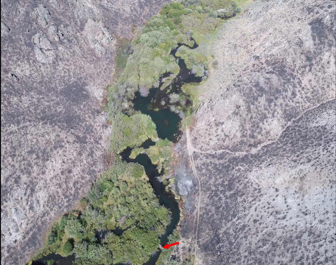 An aerial photo of a river bordered by green vegetation winding through a dry landscape. The waterway follows a meandering path from the bottom to the top of the image, flanked by dense greenery in many areas, and a red arrow points to a beaver dam. Most of the surrounding land is devoid of vegetation, revealing the underlying rocky surface.