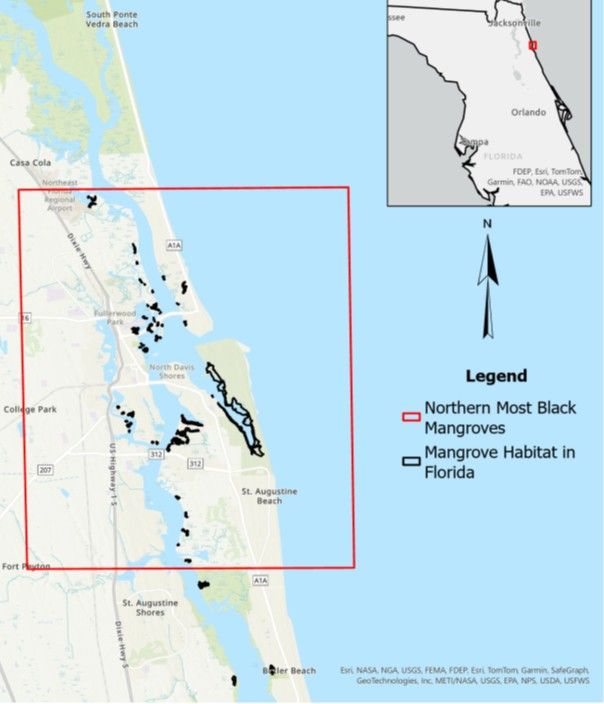 Map highlighting mangrove habitat along Florida's Atlantic coast with a boxed section marking "Northernmost black mangroves" and black marks indicating "Mangrove habitat in Florida," apparently areas where mangrove trees have been documented growing.