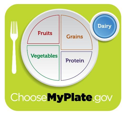 Figure 2. MyPlate Dairy Group.