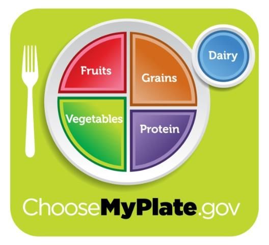 Figure 2. ChooseMyPlate.gov