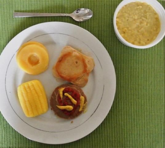 Figure 3. Beef burger with bun (both puréed), topped with ketchup and mustard, served with shaped purées of corn and sliced pineapple as side dishes, and coconut-milk custard for dessert.