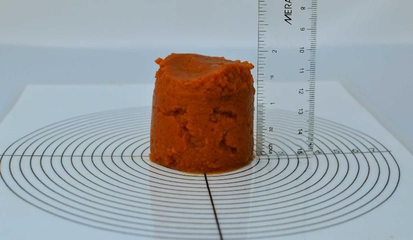 Figure 2. Canned pumpkin demonstrating little slumping (cylinder filled to 2