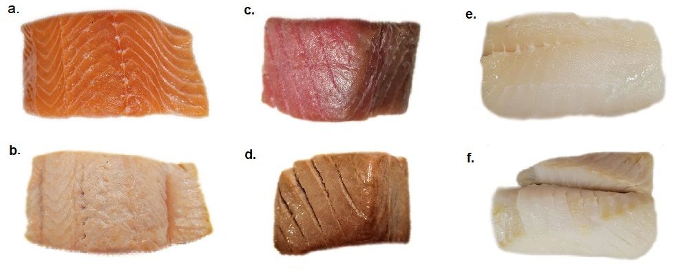 (a) Raw Pink Salmon fillet; (b) Cooked Pink Salmon; (c) Raw Tuna; (d) Cooked Tuna; (e) Raw Tilapia; and (f) Cooked Tilapia.