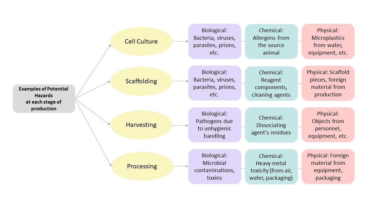 Examples of Potential Food Safety Hazards During Production