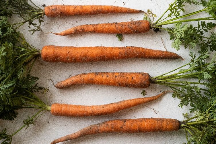 Carrots.