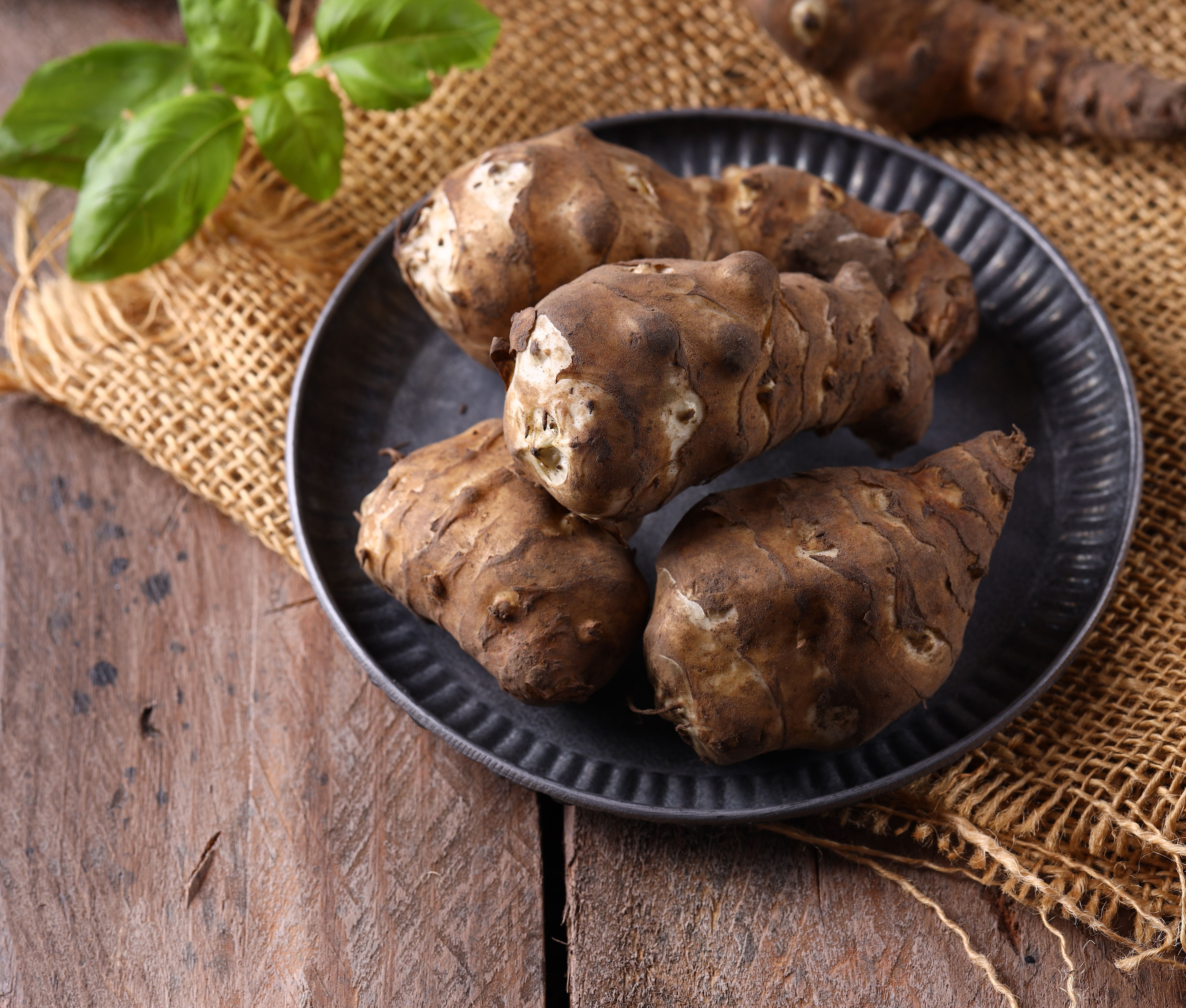 Jerusalem artichoke (sunchoke).
