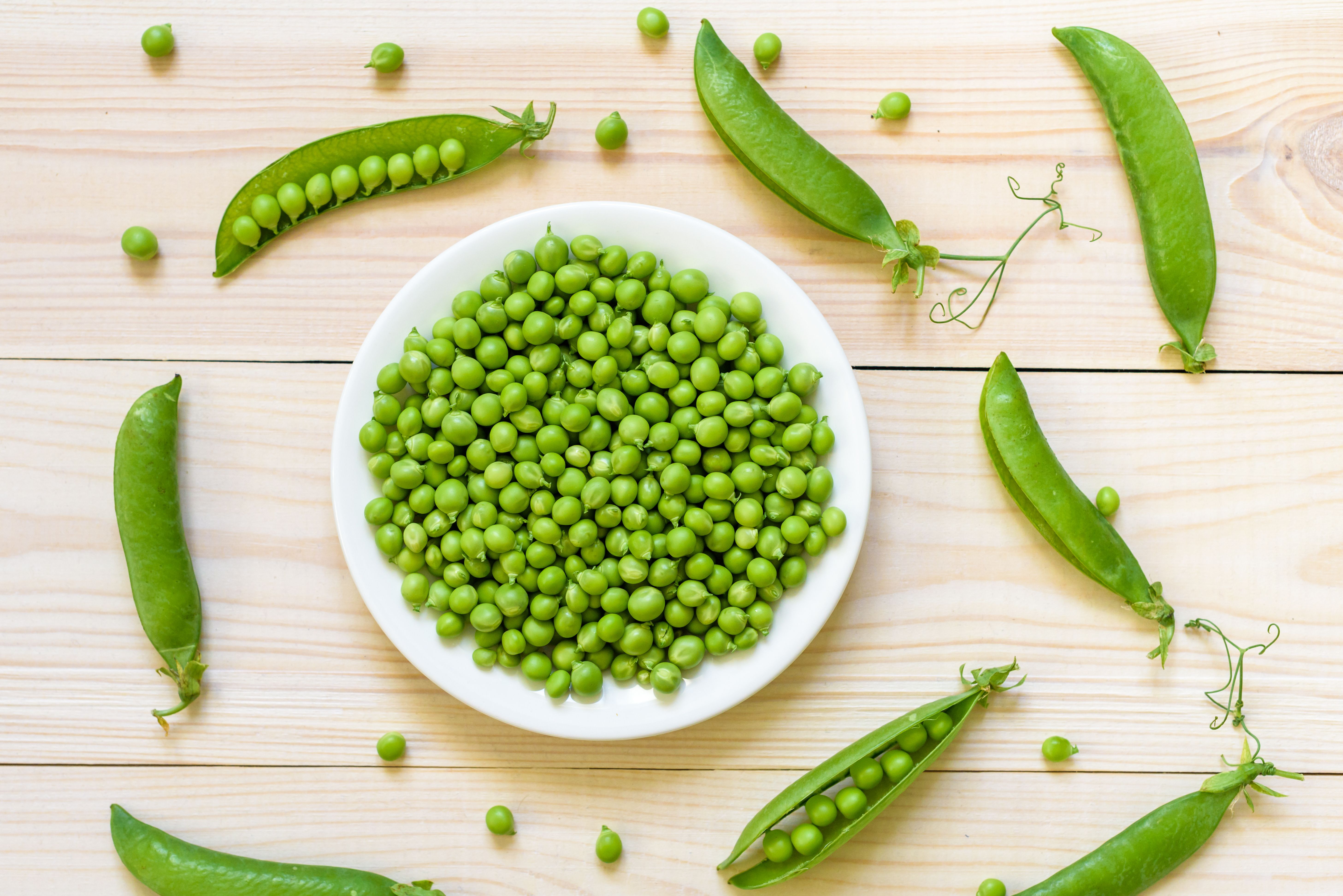 A bowl of shelled English Peas surrounded by some whole pods