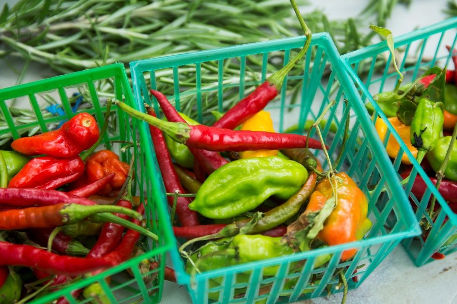 Hot pepper varieties at a farmers' market