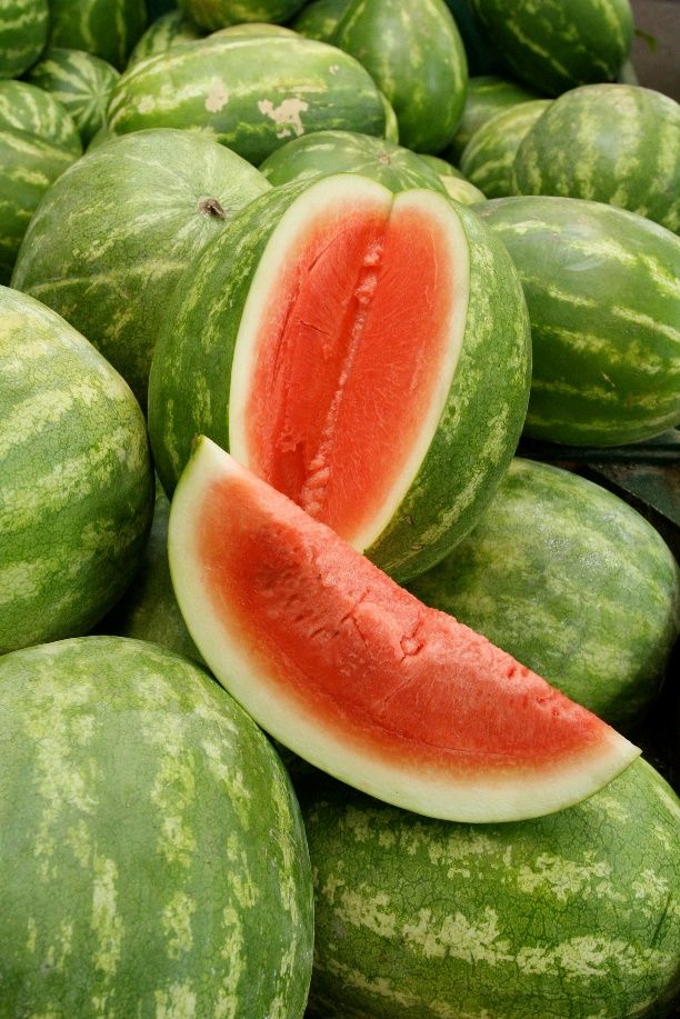 Watermelon.