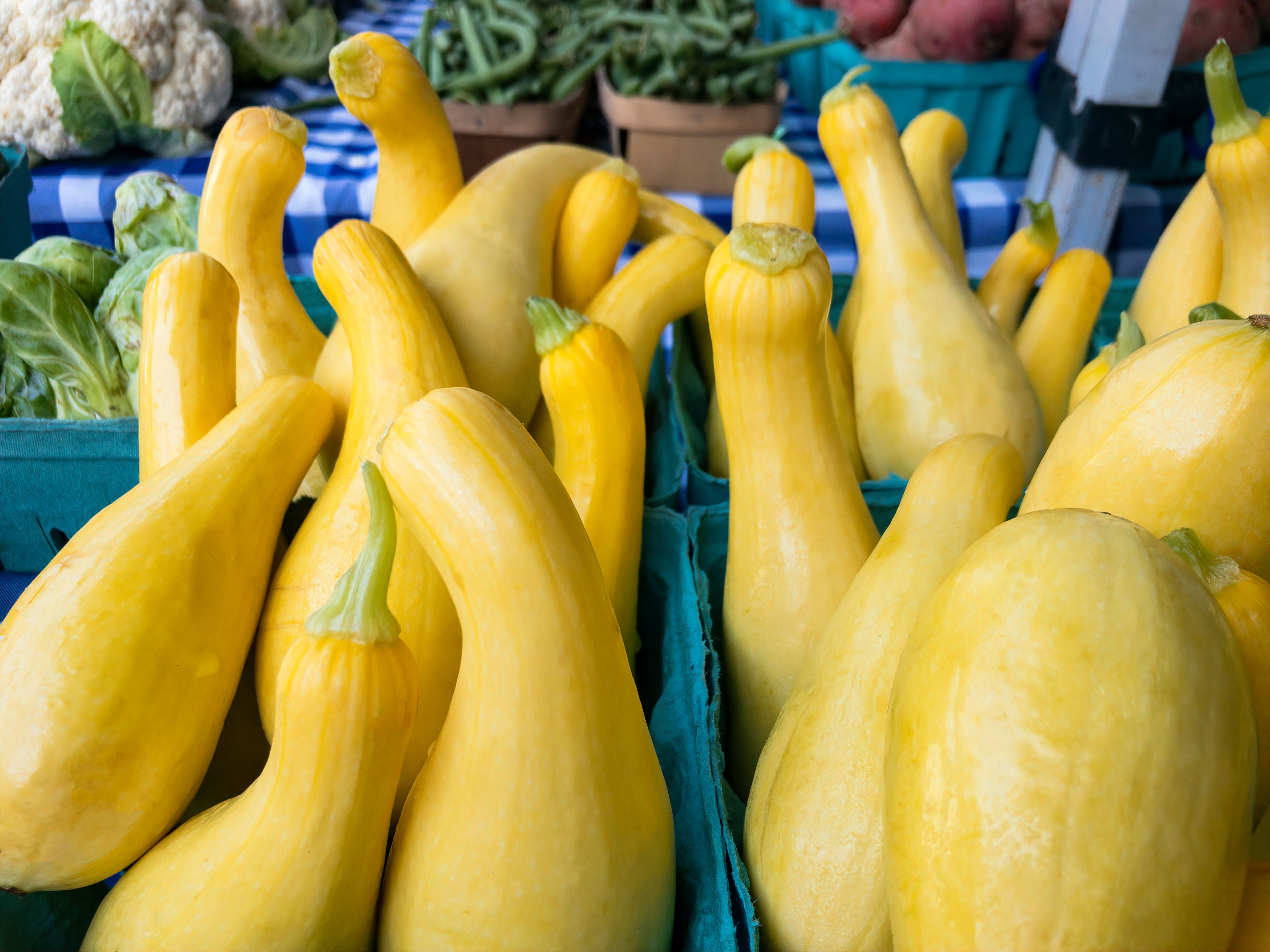 Summer squash.
