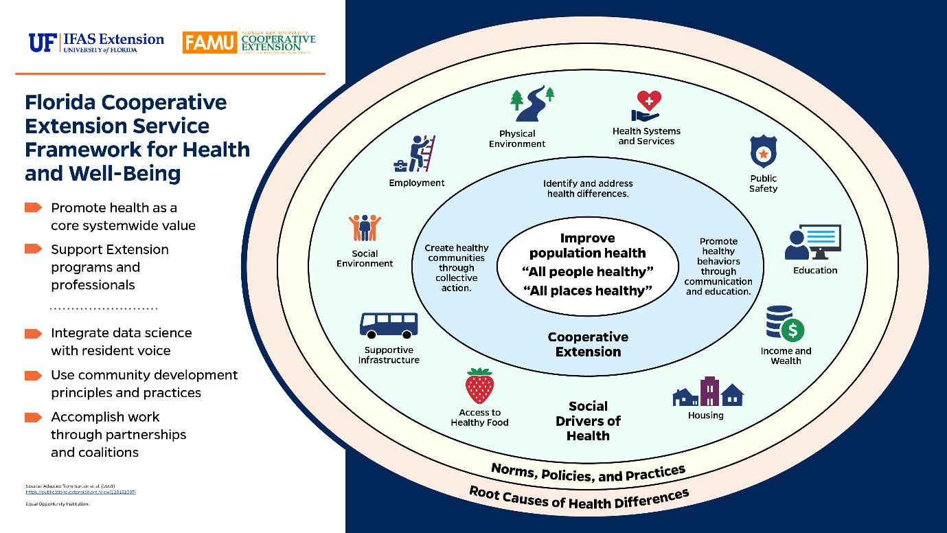 A diagram of health and medical health care

AI-generated content may be incorrect.