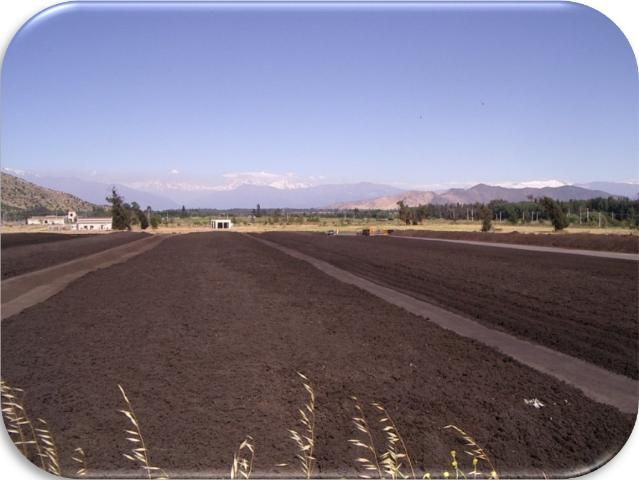 Figure 3. Canchas de secado con aire de biosólidos (Santiago, Chile).