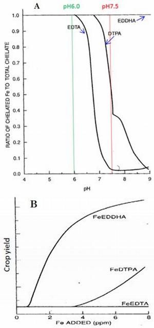 Figure 4. Effects of pH and chelate species, including EDTA, OTPA, and EDDHA, on chelated iron stability (A) and on crop yield (B).
