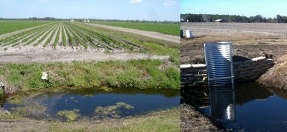 Figure 2. Left: Seepage irrigation systems rely on a drainage system with ditches around the cultivated area. Right: Water retention structures are used to back up the water to raise the water table level.