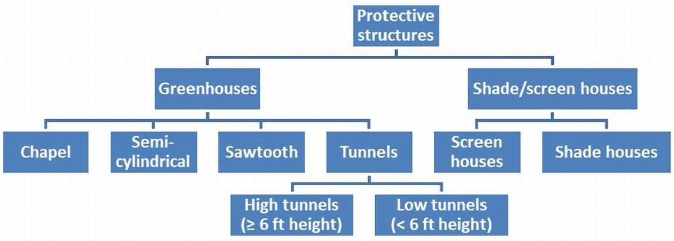 Figure 1. Protective structure classification according to roof type.