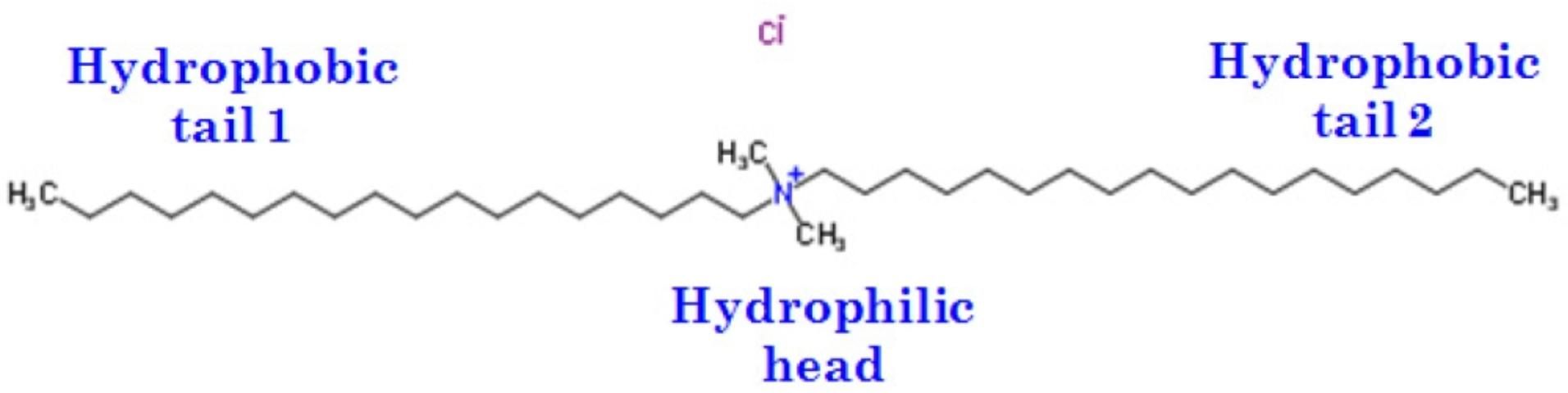 Figure 4. Chemical structure of a cationic surfactant, dimethyldioctadecylammonium chloride (DDAC). Its chemical formula is C38H80ClN. This surfactant has two 18-carbon hydrophobic tails and one positively charged nitrogen-hydrophilic head.