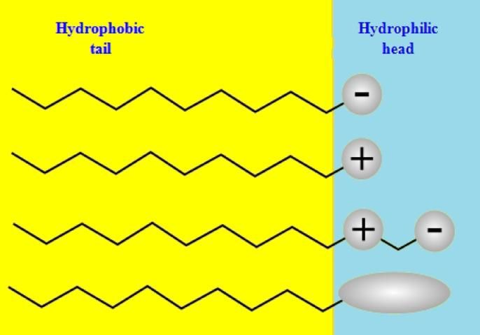 Figure 3. Schematic diagram of the four types of surfactants, according to the composition of their heads: anionic, cationic, amphoteric, and nonionic.