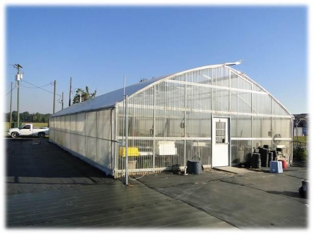 Figure 4. Passively ventilated greenhouse structure.