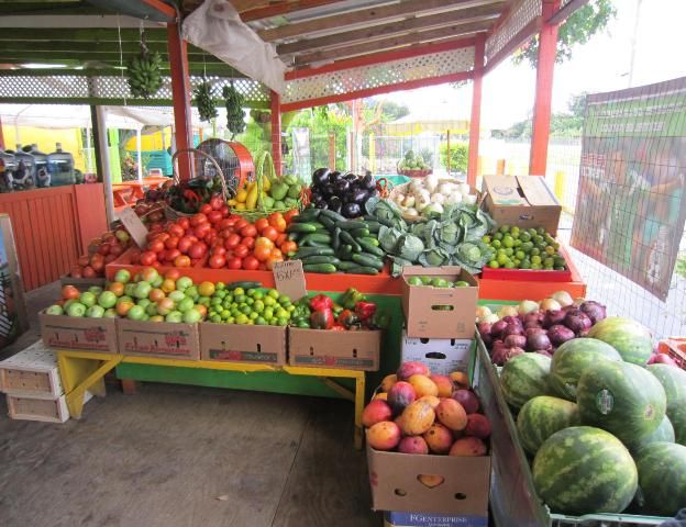 Figure 1. Fruit and vegetable stand on Krome Avenue in Homestead.