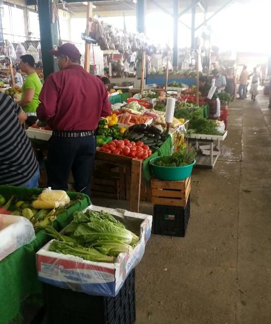 Figure 3. Local vegetable market in Homestead.