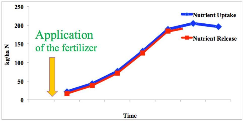 Figure 3. The ideal fertilizer: the nutrient release is synchronized with the crop's nutrient requirements.