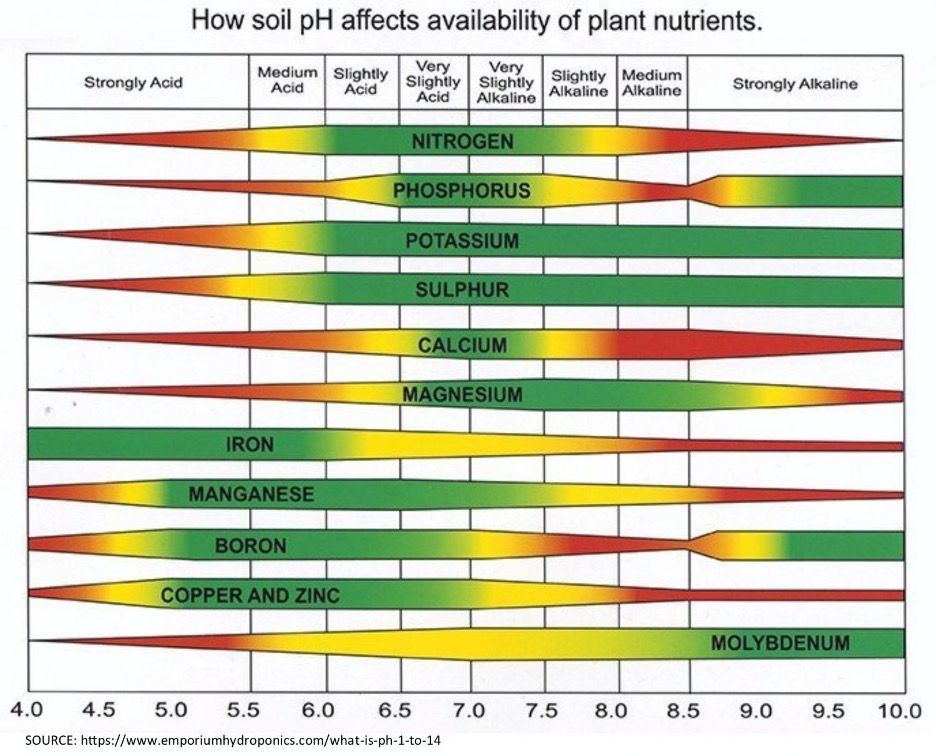 Nutrient availabilities with different soil pH values. The width of the band illustrates the approximate availability of the specific nutrient. The wider the band, the more available the nutrient is, and the narrower the band, the less available the nutrient is for crop growth.