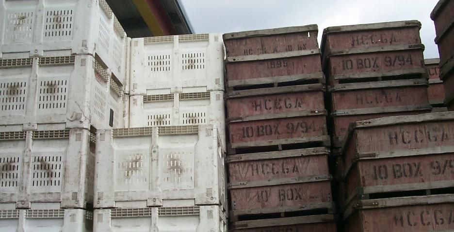 Figure 2. Reusable plastic bulk bins (left) and wooden bulk bins (right) are used mostly on farms and at packinghouses.