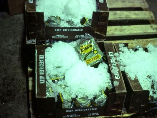 Figure 13. Package icing for collards.