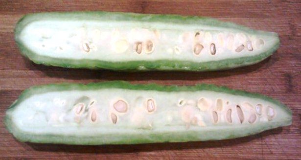 Figure 9. Two halves of Chinese bitter melon.