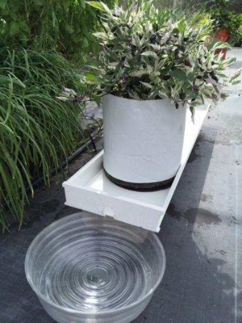 Figure 6. Upright bag container with gutter and houseplant drain dish catchment.