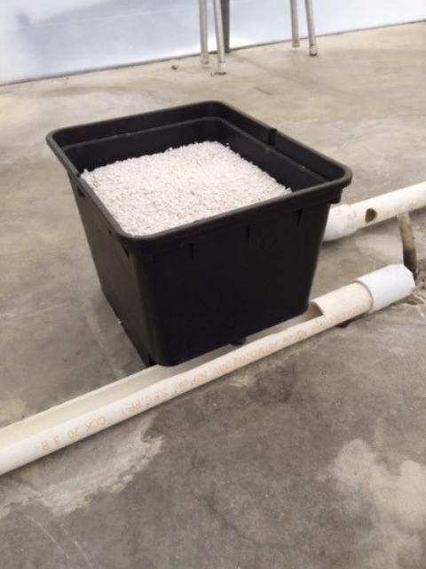 Figure 1. Bato bucket and perlite with PVC catchment drain.