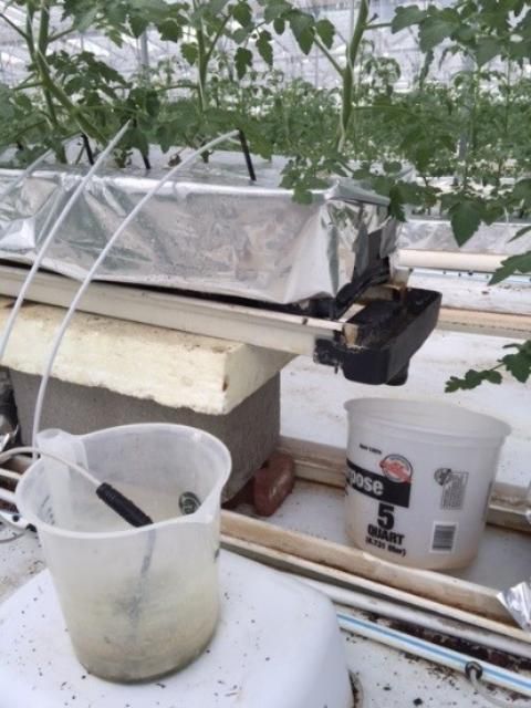 Figure 3. Leach collection system in a commercial greenhouse.