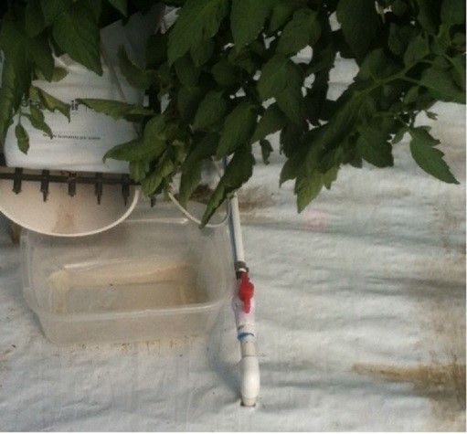 Figure 4. Large diameter PVC pipe adapted to collect leachate.