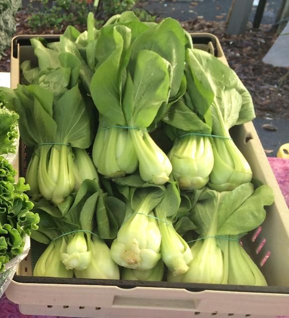 Figure 6. Baby bok choy at a farmers' market stand.