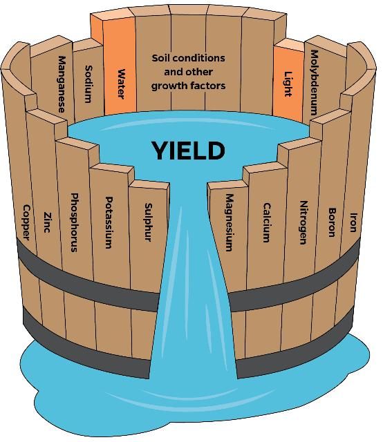 Figure 4. 