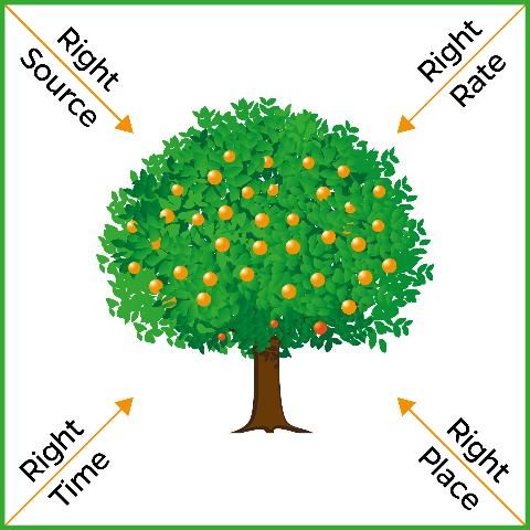 Figure 14. The RIGHT Nutrient Program Stewardship for Best Management Practices (BMP)