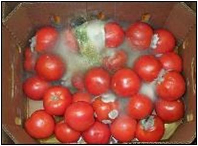 Figure 6. A carton of tomatoes with 
