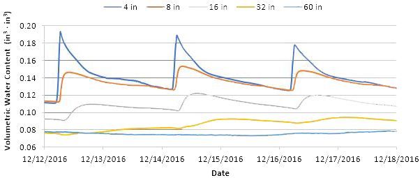 Soil water content at 4, 8, 16, 32, and 60 inches depth in sandy soils (Arredondo sand) from 12 to 18 December 2016, Citra, Florida.