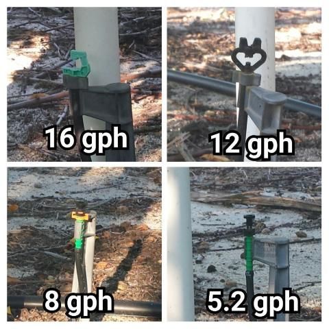 Examples of micro-sprinkler heads used for irrigation in peaches.