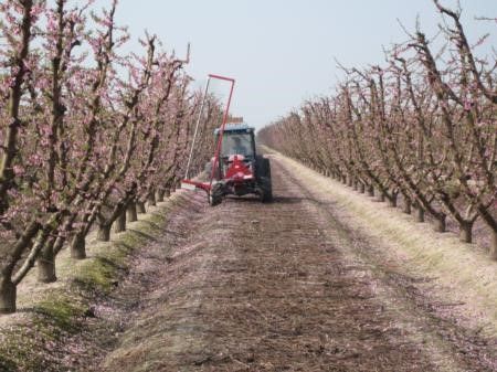Figure 9. Mechanically thinning central leader peach blossoms using a Darwin PT250.