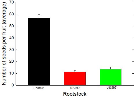 Figure 1. Average number of seeds per fruit in three highly demanded citrus rootstocks (US942, US897, and US802)