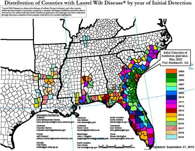 Figure 2. Distribution of laurel wilt disease in the United States as of 2019. The redbay ambrosia beetle (Xyleborus glabratus) was first detected in 2002 and the link to the fungal pathogen it carries (Raffaelea lauricola) was made in 2004. Laurel wilt has been detected in all of Florida's 67 counties.