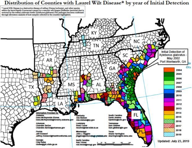 Figure 1. Map of current laurel wilt detection. Present in 11 southeastern US states, including Alabama, Arkansas, Florida, Georgia, Kentucky, Louisiana, Mississippi, North Carolina, South Carolina, Tennessee, and Texas. Credit: US Forest Service.
