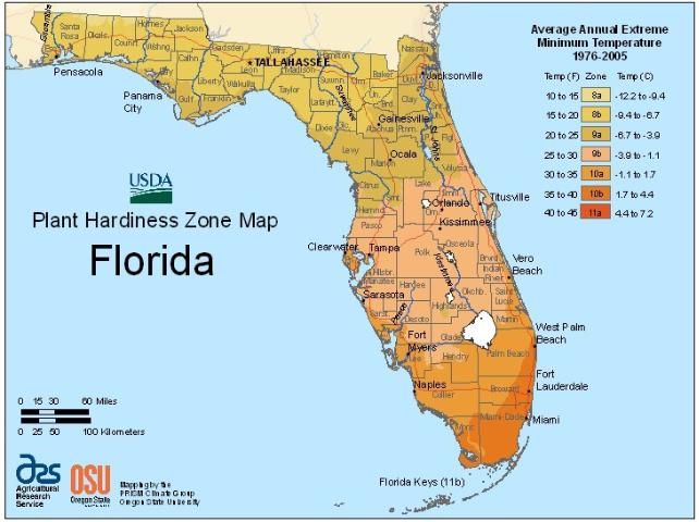 Figure 3. Plant Hardiness Zone Map of Florida (adapted from USDA-ARS 2012).